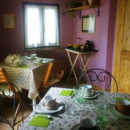 Corner Garden