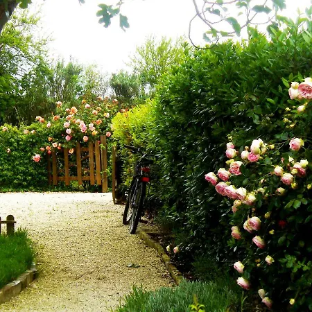 Corner Garden Apartment Potenza Picena
